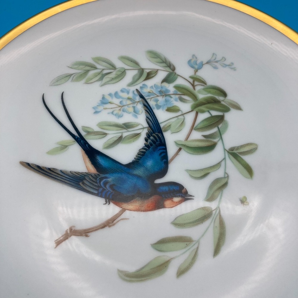 RARE Pre-War Hutschenreuther Selb Audubon Bird Plates - Set of 6 - Circa 1930s - Picture 6 of 9